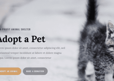 Animal Shelter